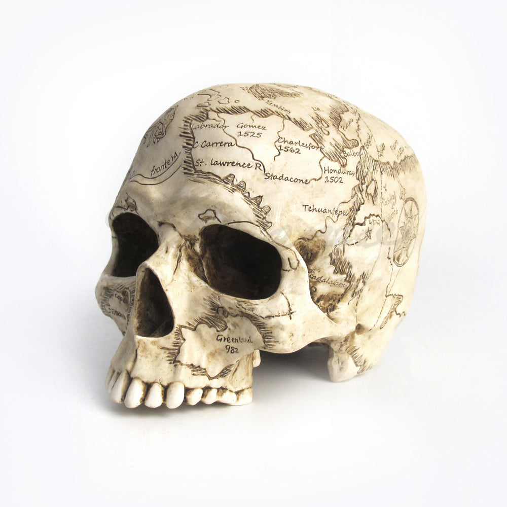 Craniumography Skull Map