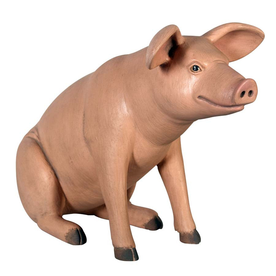 Design Toscano Sleeping Pig Statue & Reviews