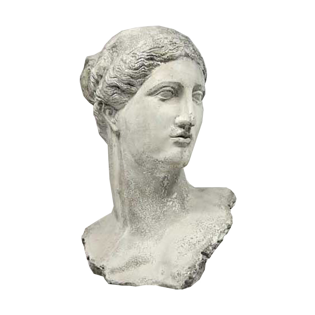 Alexis Head Lg. 49 - Other Busts Busts