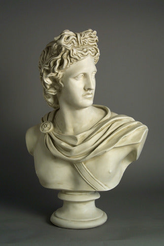 Apollo Belvedere: 31-Inch Classical Bust Sculpture